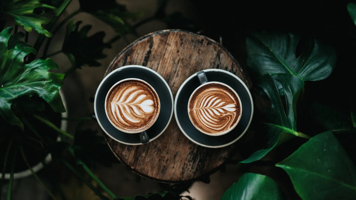 Zwei Tassen Cappuccino mit Latte Art auf Holztisch zwischen Blättern
