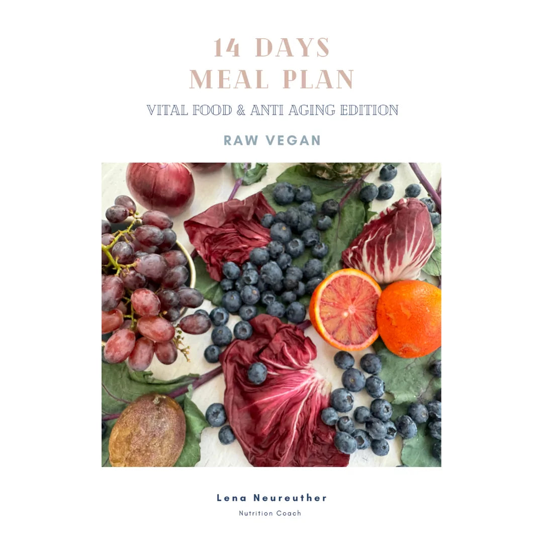 14 Day Meal Plan - Vital Food & Anti Aging Edition (English) – Cover