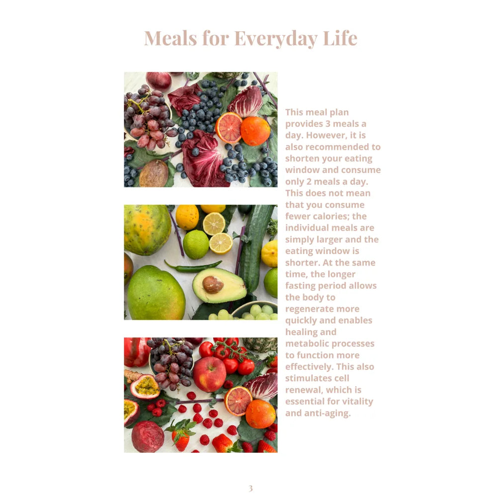 14 Day Meal Plan - Vital Food & Anti Aging Edition (English) – Innenseite 2