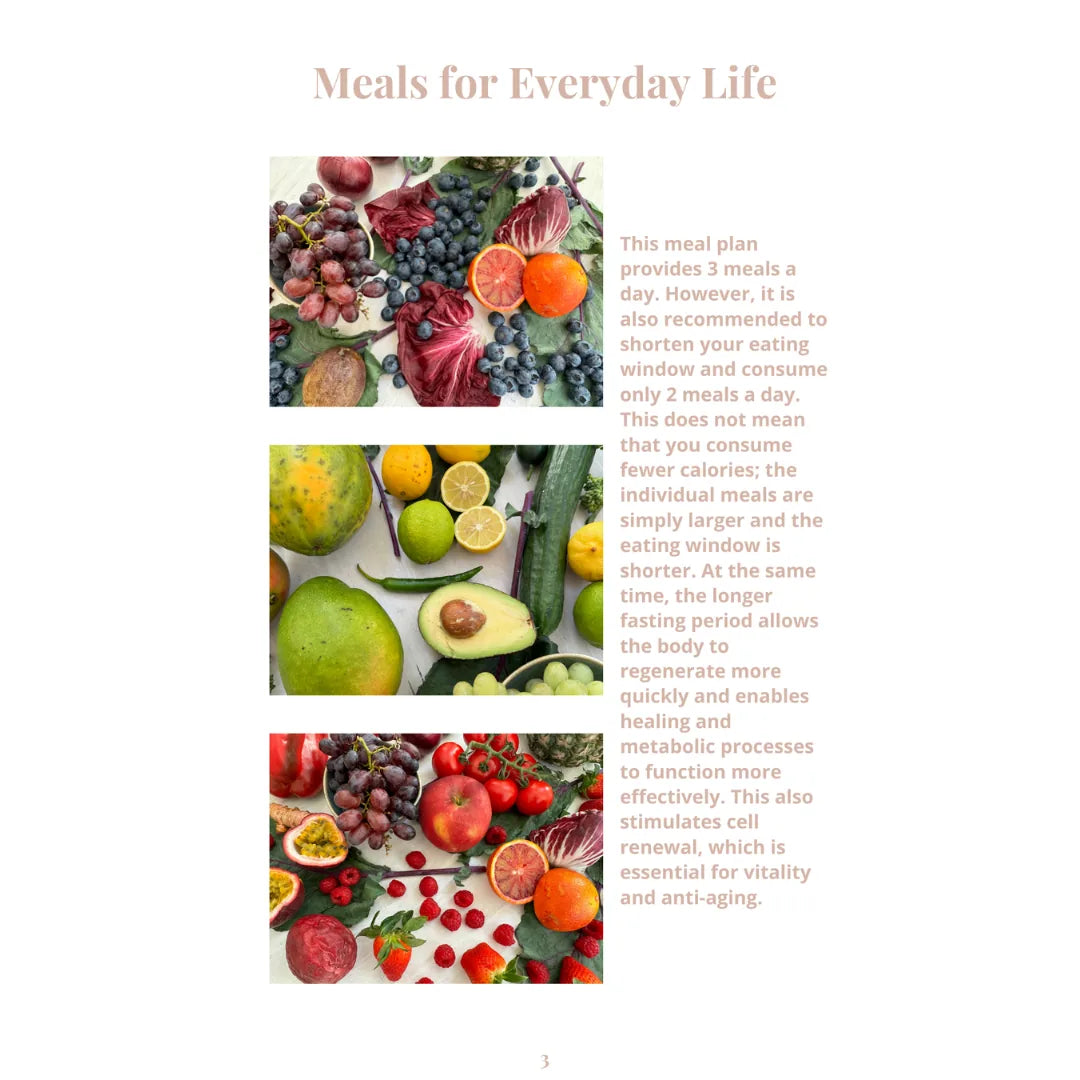 14 Day Meal Plan - Vital Food & Anti Aging Edition (English) – Innenseite 2