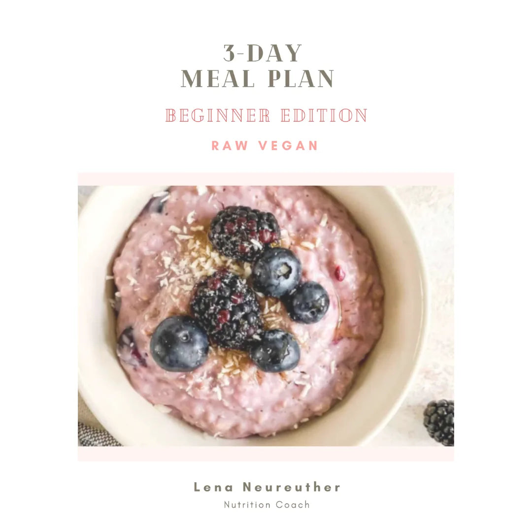 3 Day Meal Plan - Beginner Edition (English) – Cover