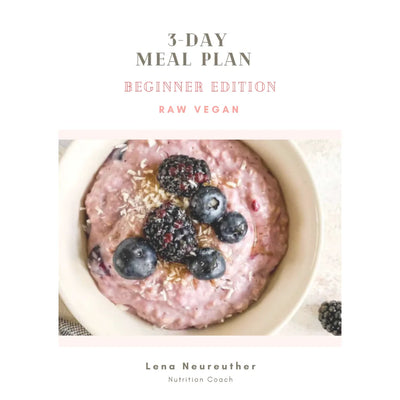 3 Day Meal Plan - Beginner Edition (English)