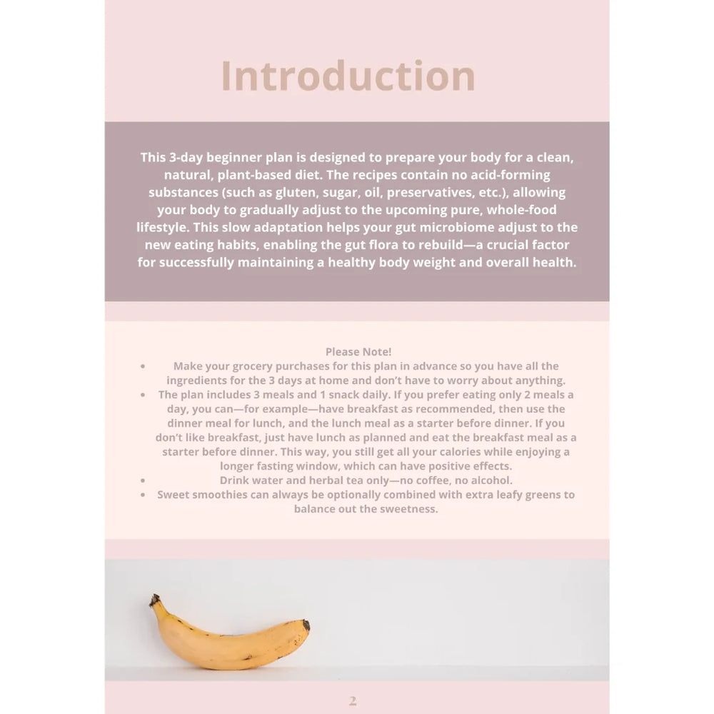 3 Day Meal Plan - Beginner Edition (English) – Innenseite 2