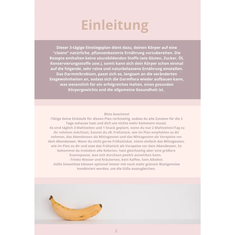 3 Tage Ernährungsplan - Einstiegs Edition (deutsch) – Innenseite 2