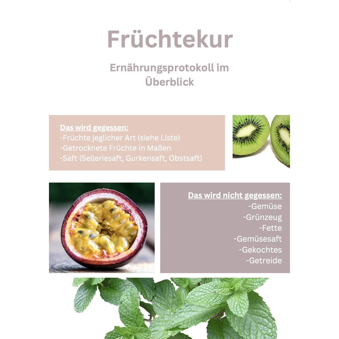 Früchtekur – Säfte | Früchte | Rohkost (deutsch) – Innenseite 1