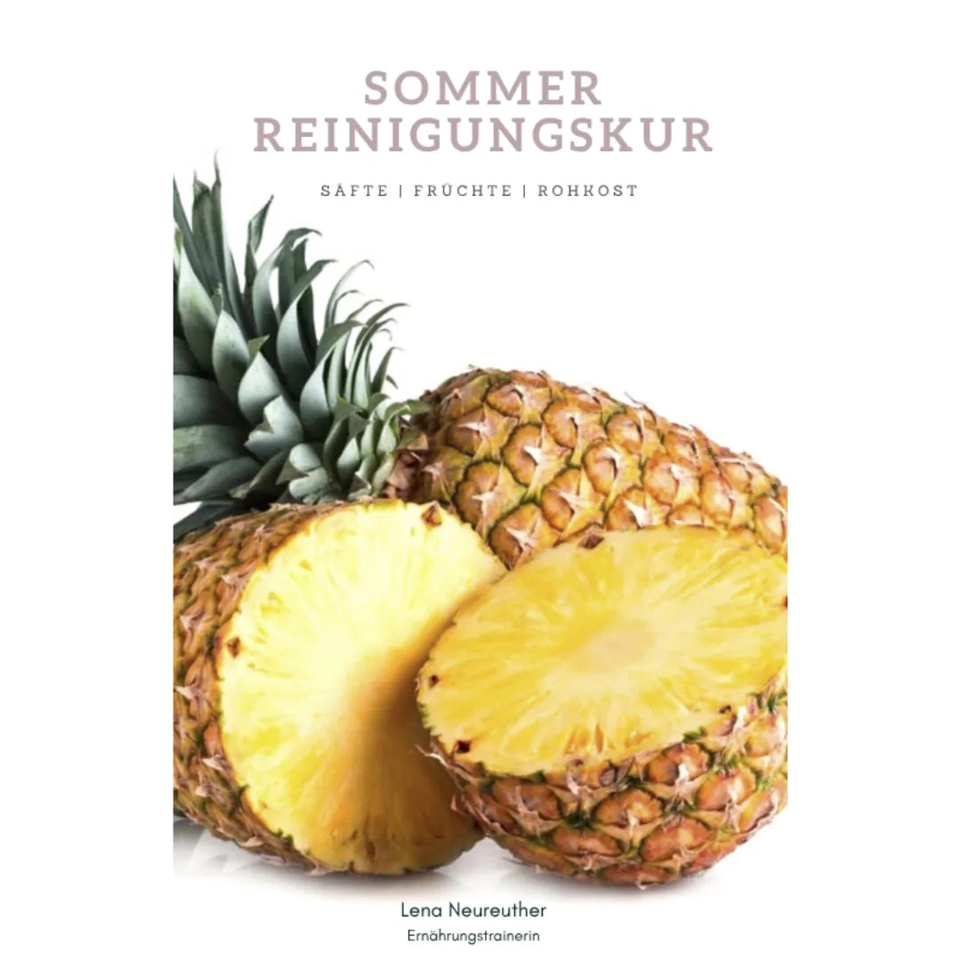 Sommer Reinigungskur (deutsch) – Cover