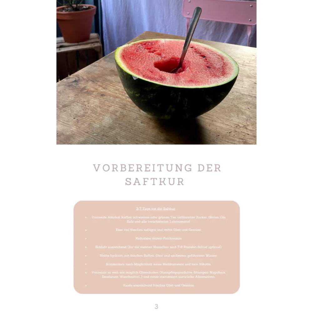 Sommer Reinigungskur (deutsch) – Innenseite 2