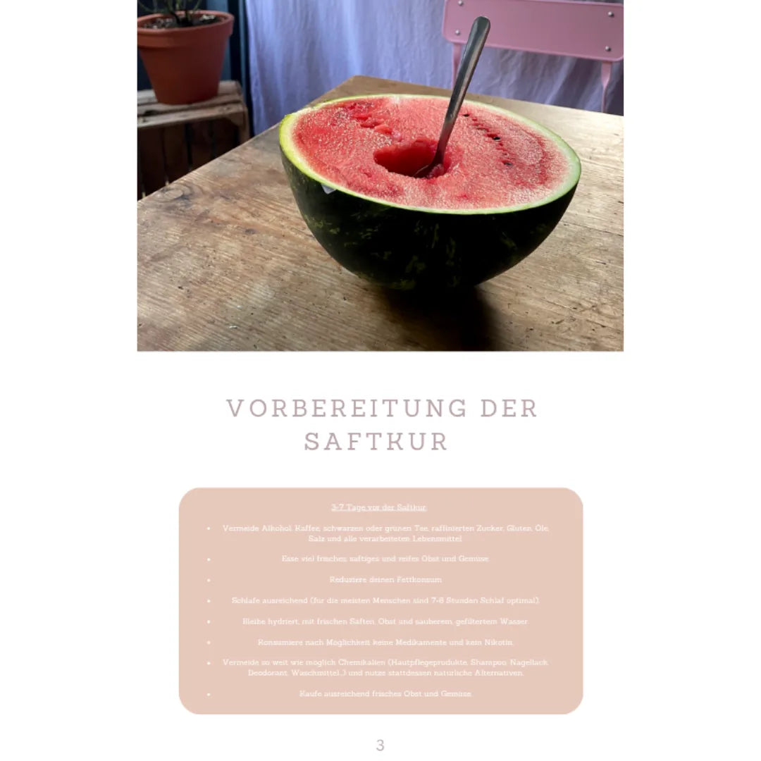 Sommer Reinigungskur (deutsch) – Innenseite 2