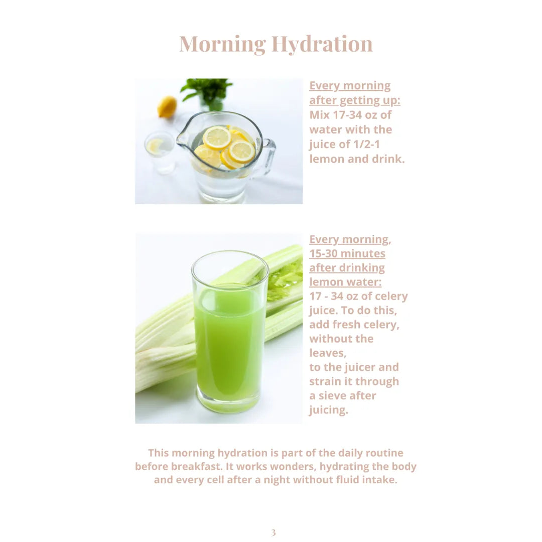 10 Day Meal Plan - Weight Loss Edition (English) – Innenseite 2
